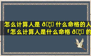 怎么计算人是 🦋 什么命格的人「怎么计算人是什么命格 🦅 的人呢」